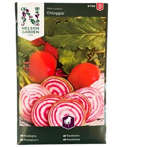 Rödbeta Chioggia Rund