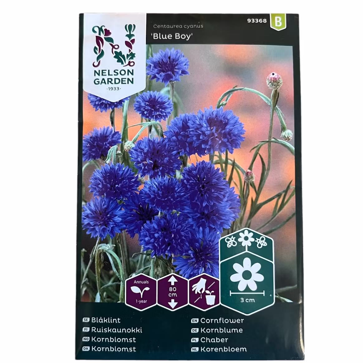 Blåklint Blue Boy