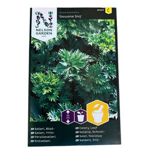 Selleri Blad Gewone Snij