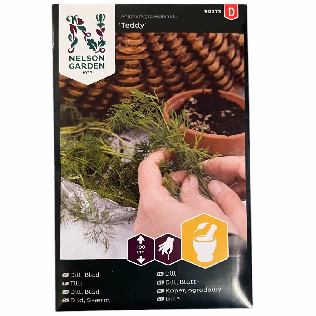 Dill, Blad- Teddy