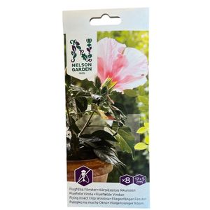 Flugfälla Fönster 8pk