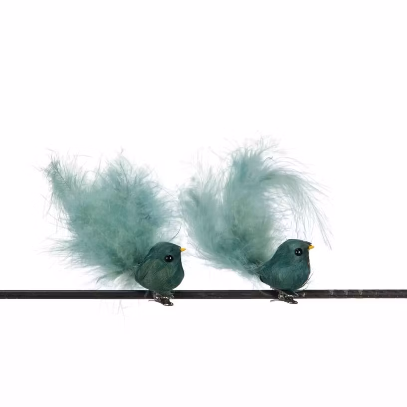 Fågel Clip Fjädermix Grönblå