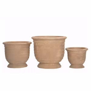 Pokal Afrodite 3st 50%