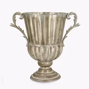 Kruka Pokal Laleh Champagne