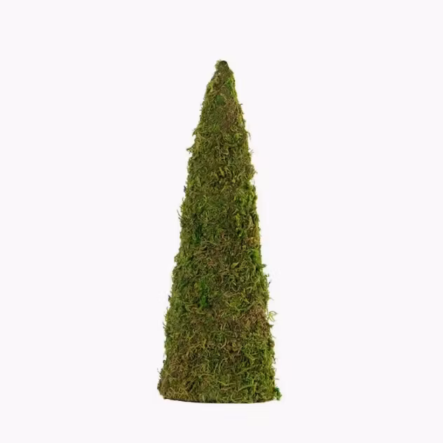 Mosskon Stor