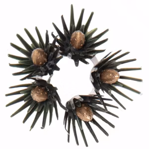 LJUSMANSCHETT 7-PACK ACCESSORIZE