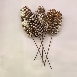 Grankotte Vit topp 5 Pk