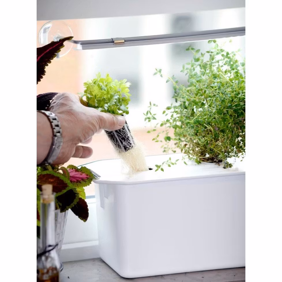 Hydroponiskt odlingskit Harvy 3, 3 delar