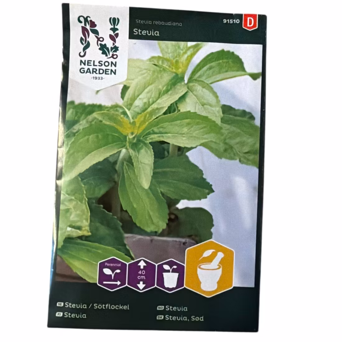 Stevia Perenn