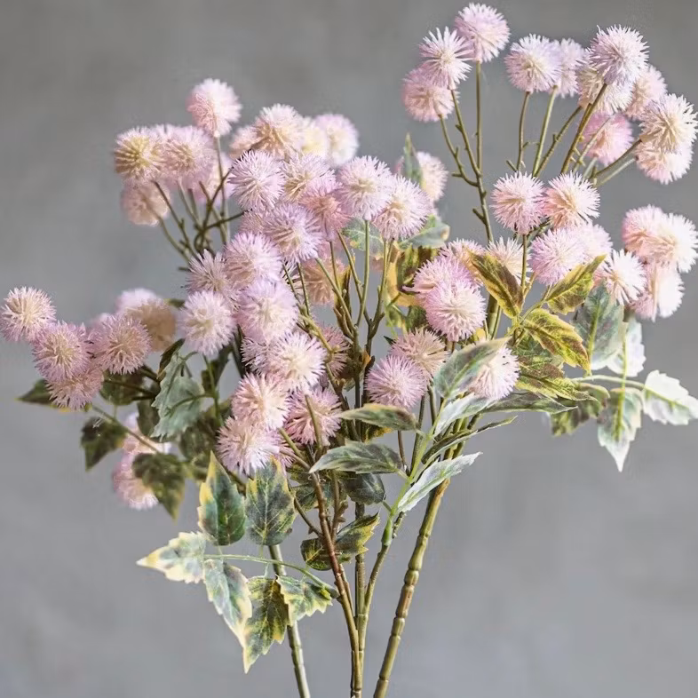 Konstväxt Tistel Rosa