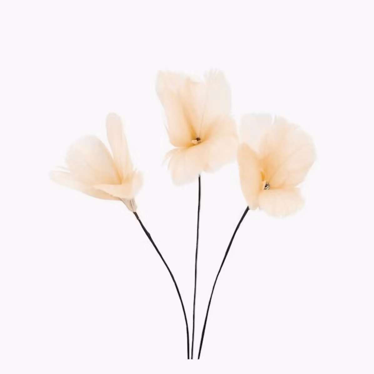 Fjäder Trådad Blom Aprikos 6pk