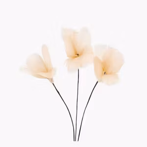 Fjäder Trådad Blom Aprikos 6pk