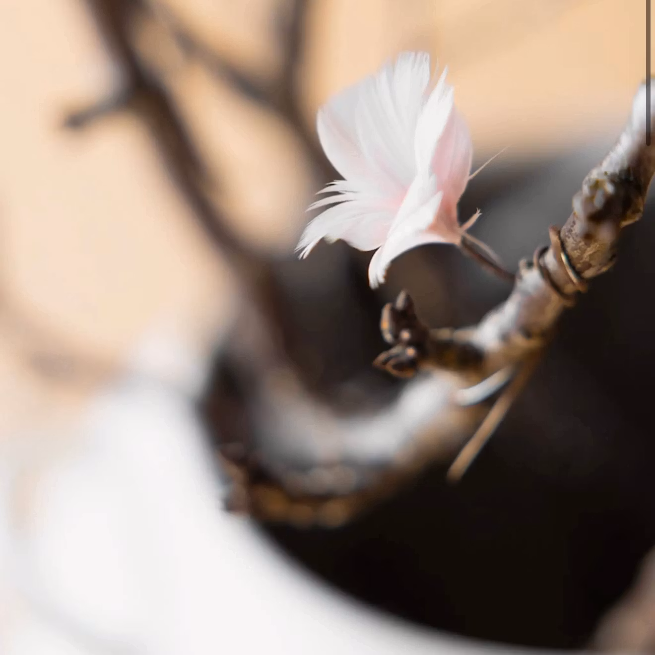 Fjäder Trådad Blom Ljusrosa 6pk