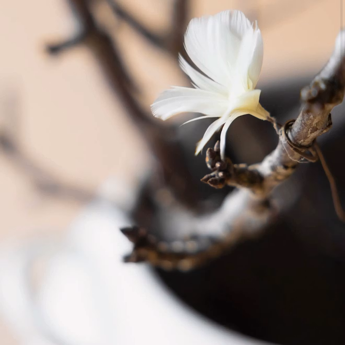 Fjäder Trådad Blom Ljusgul 6pk