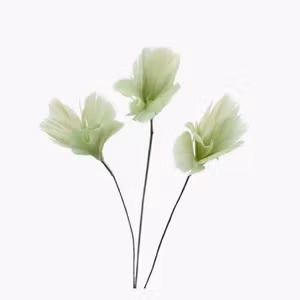 Fjäder Trådad Blom Lime 6pk