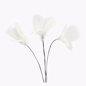Fjäder Trådad Blom Vit 6pk