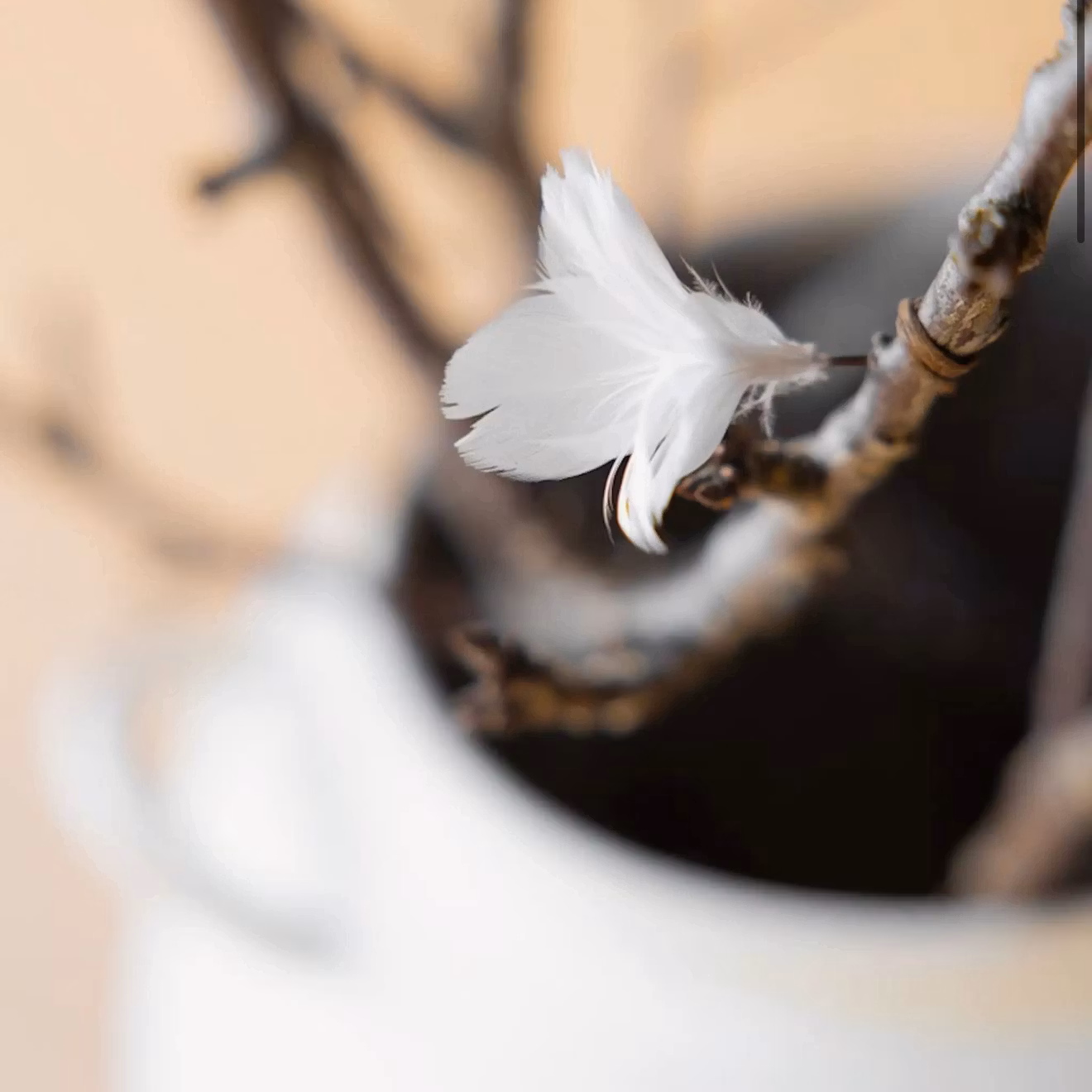 Fjäder Trådad Blom Vit 6pk