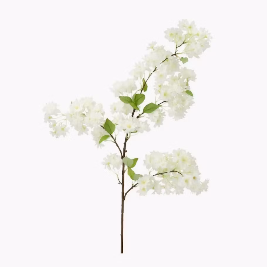 Konstväxt Körsbärsblom Vit