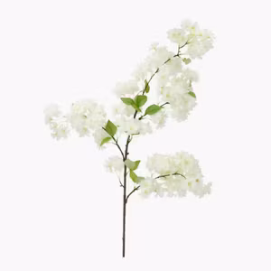 Konstväxt Körsbärsblom Vit