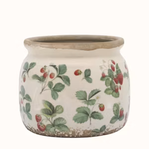 Fraises Kruka m. Smultron