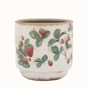 Fraises Kruka m smultron