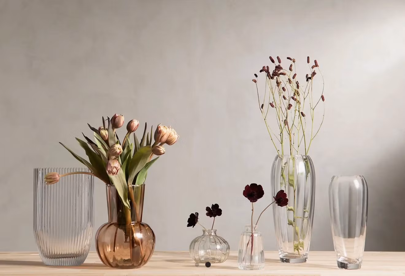 Vas Kamelia Brunrosa