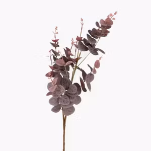 Konstväxt Eukalyptus Grålila