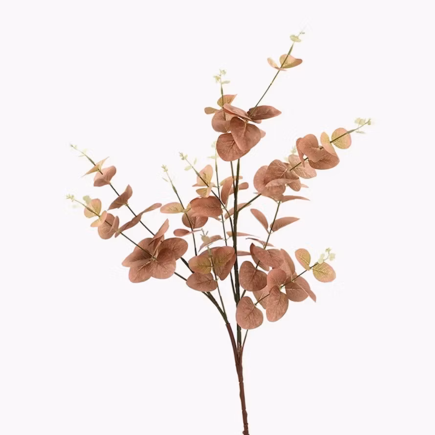 Konstväxt Eukalyptus Mattrosa