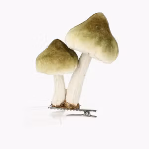 Clip Svampar Grön