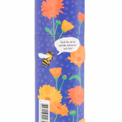 Kroppsstift ringblomma