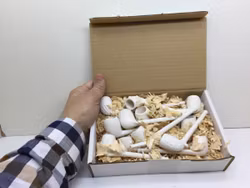 Lerpipa / Kritpipa DISPLAY