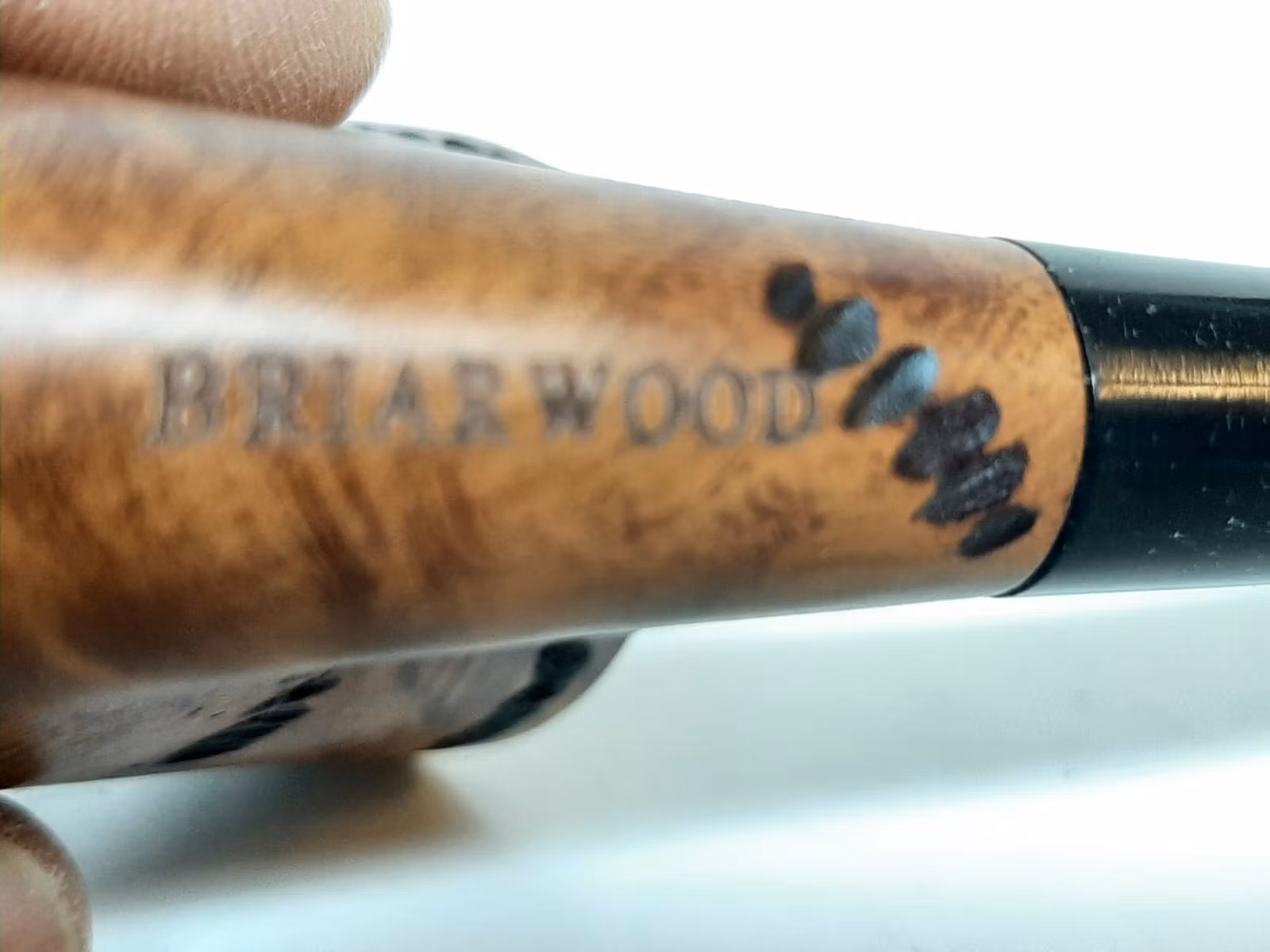 Lorenzo Spitfire ChaCha Spot Carving + tillbehör