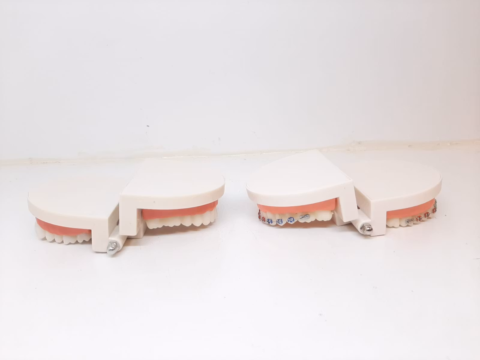 Dental tandmodell / Löständer (tand modell)