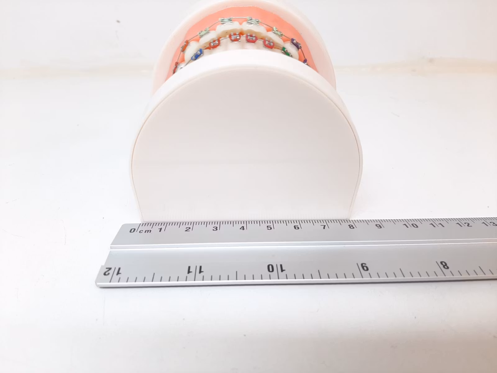 Dental tandmodell / Löständer (tand modell)