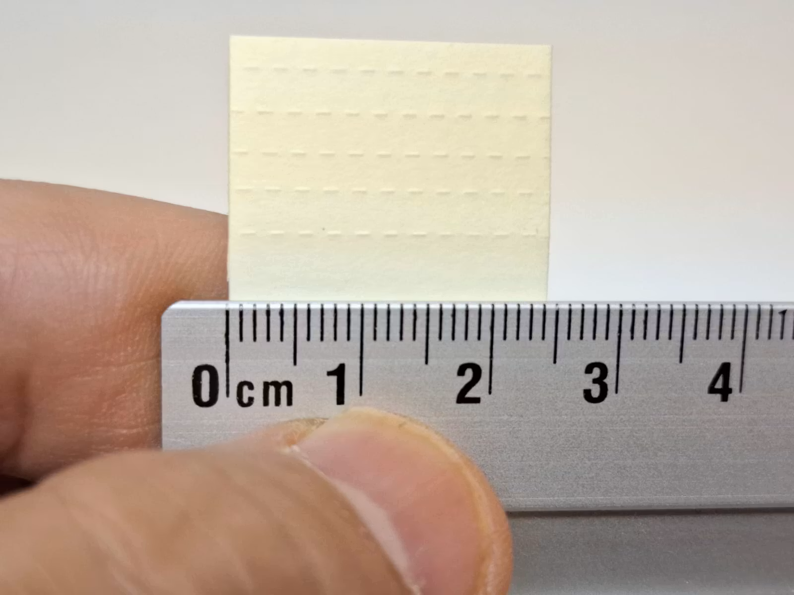 RAW Filtertips Wide (8 förpackningar)