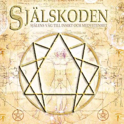 Själskoden : själens väg till insikt och medvetenhet  av Nicklas Thörn, Ulf Andersson