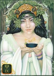 Dreams of Gaia Tarot  A Tarot for a New Era by Ravynne Phelan