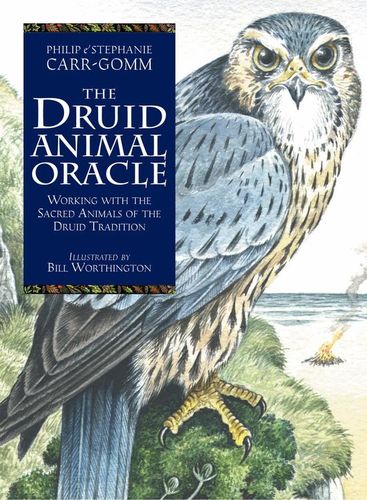 The Druid Animal Book & Card set by Philip & Stephanie Carr-Gomm Illustrated by Will Worthington