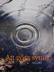 Att göra synligt av Anna Gerge