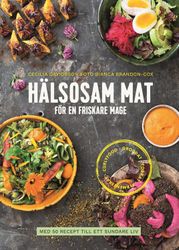 Hälsosam mat för en friskare mage : med 50 recept till ett sundare liv av Cecilia Davidsson