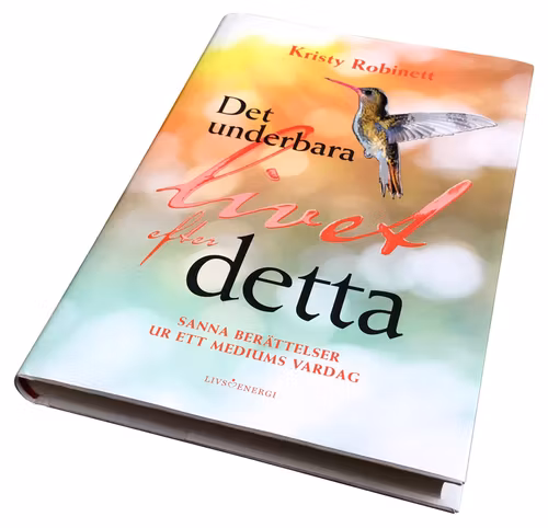 Det underbara livet efter detta: Sanna berättelser ur ett mediums vardag av Kristy Robinett