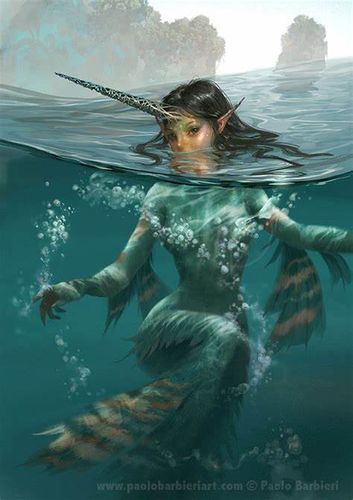 Unicorns  Book by Paolo Barbieri