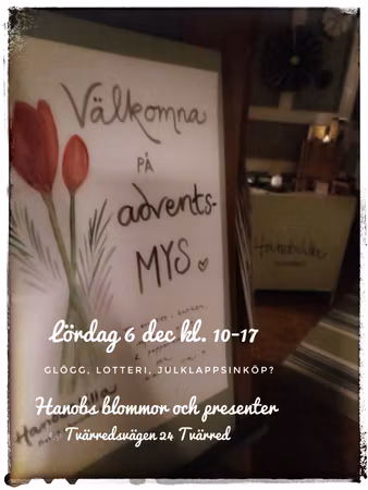 Adventsmys i butiken och besöksträdgården
