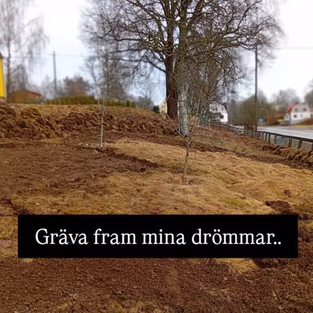 "Från gräsmatta-till blomstrande besöksträdgård"