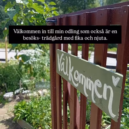 "Från gräsmatta-till blomstrande besöksträdgård"