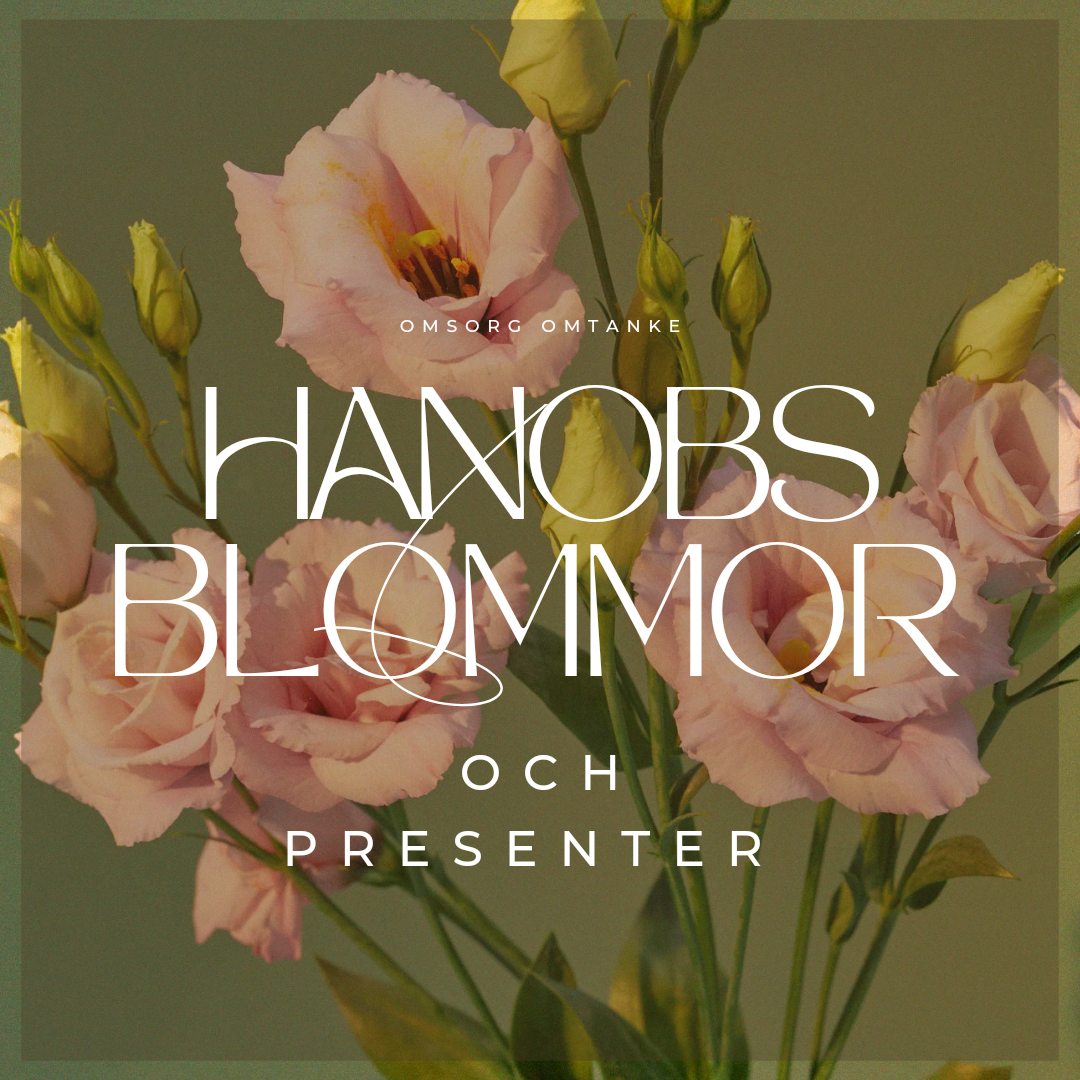 Hanobs blommor och presenter