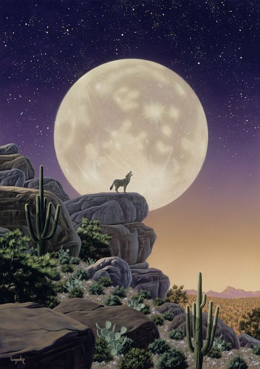 Lisensiert bilde Schim Schimmel, Desert Moon Song