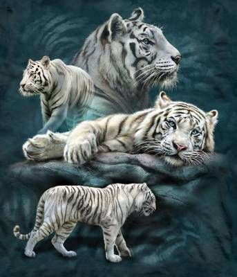 Tami Alba Patrotic White Tiger Collage lisensiert bilde