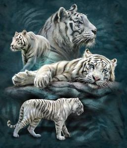 Tami Alba Patrotic White Tiger Collage lisensiert bilde