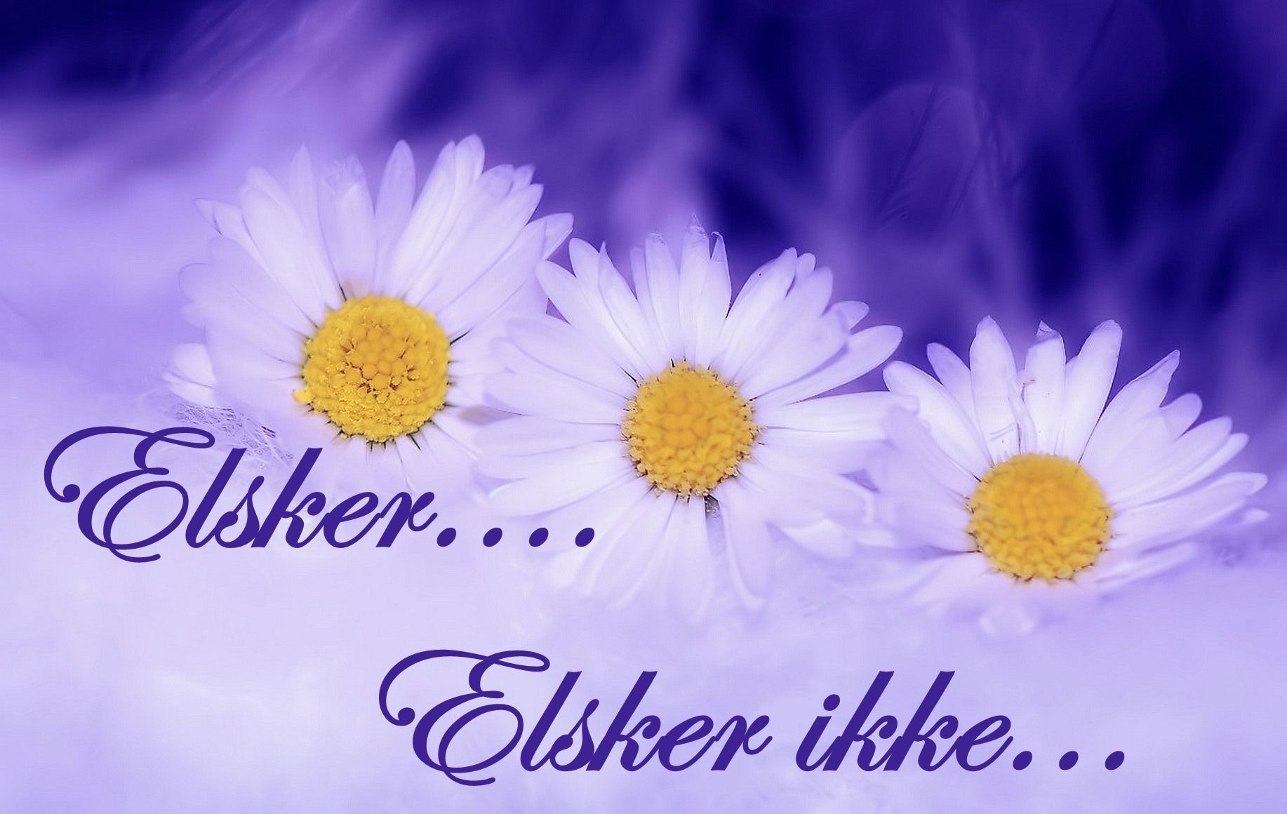 Elsker...elsker ikke